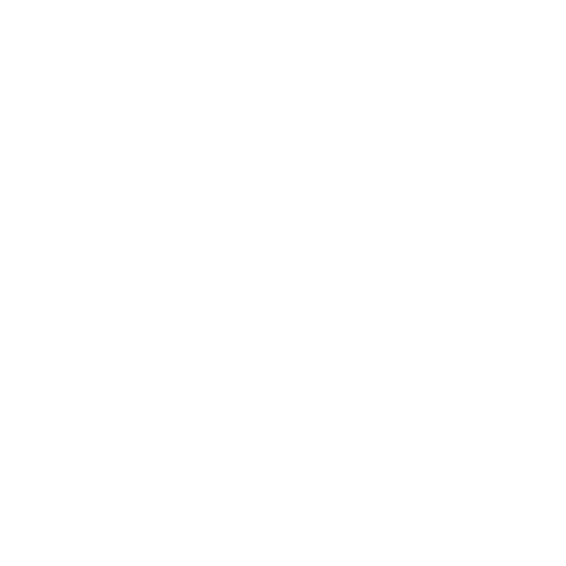 boat-anchor